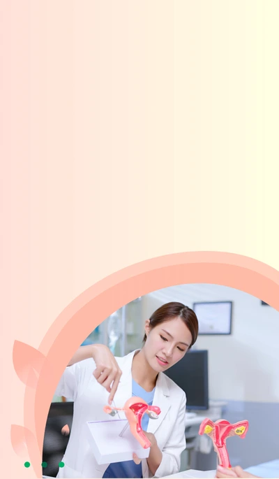 banner mobi2 new