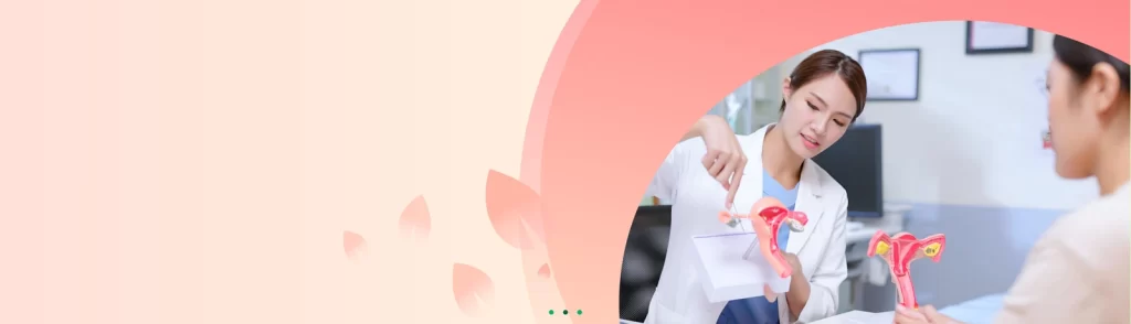 slider web 2 new
